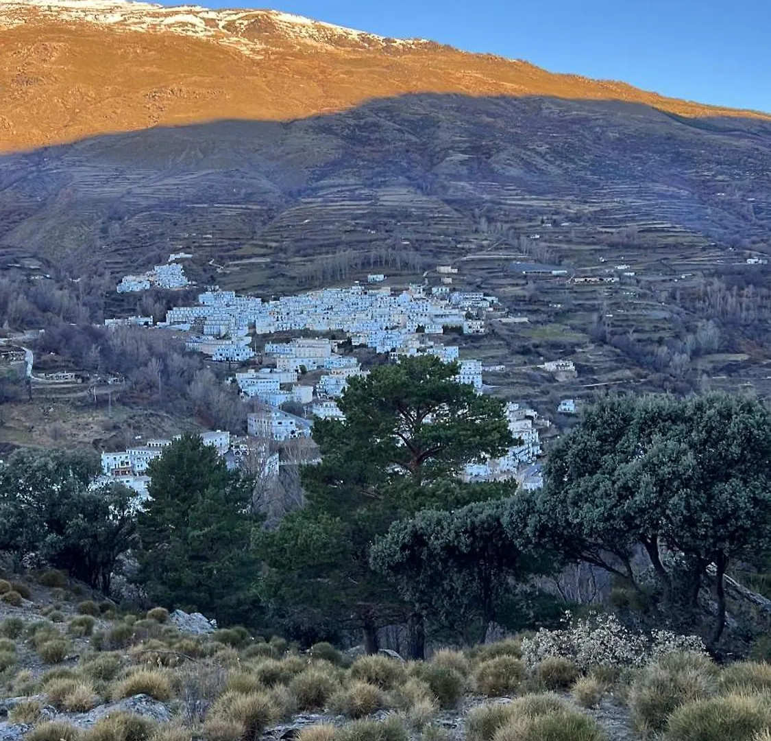 Casa Tita Maria Apartment Trevelez Spain